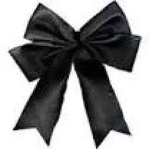 Meet your Posher, Lucy